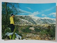 90741 Cartolina - Catania - Zafferana Etnea - Panorama ed Etna