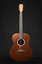 Tanglewood elemental 3bl - elemental,