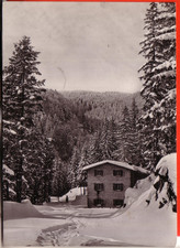 POSTCARD CAMPIGNA DI S. SOFIA