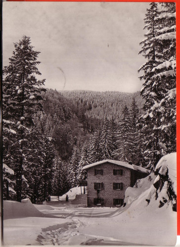 Cartolina campigna sofia - campigna, s.