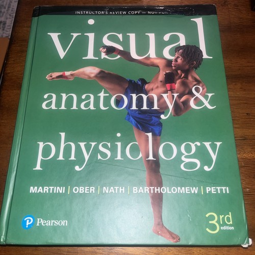 Review copy visual anatomy - visual,