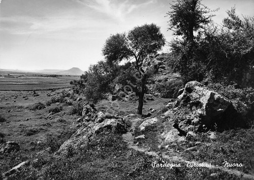 Cartolina sardegna nuoro - sardegna,