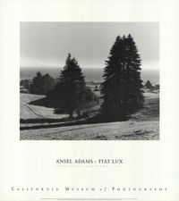 ANSEL ADAMS Pinetrees