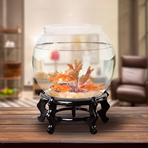 Espositore per acquario - , in