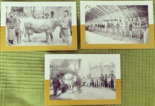 cartoline-LOT. 3 CART. PUBB