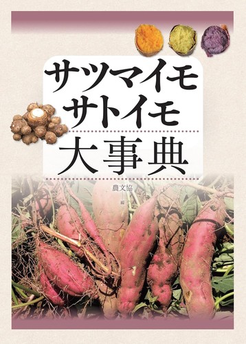 Sweet potato taro - potato,