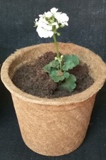 VASO PER PIANTE IN FIBRA DI