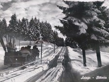 Slittovia Caberlaba Asiago Vicenza Rara Animata Vg