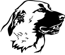 Adesivo KANGAL Karabash -