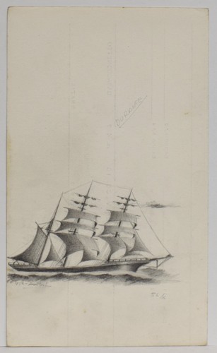 Drawing disegno bozzetto lapis - drawing,