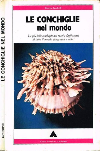 Conchiglie nel mondo - le,