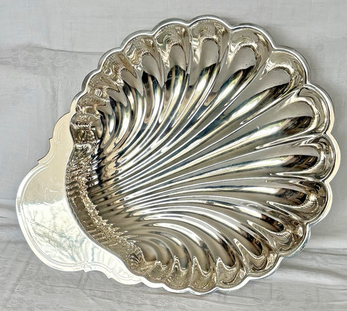Grande coquille plat - , en