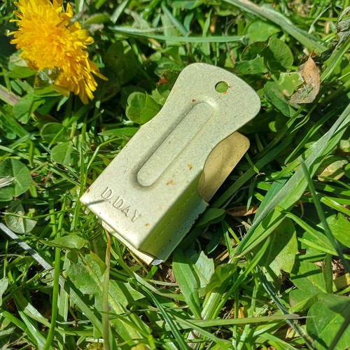 Day clicker cicalino - clicker,