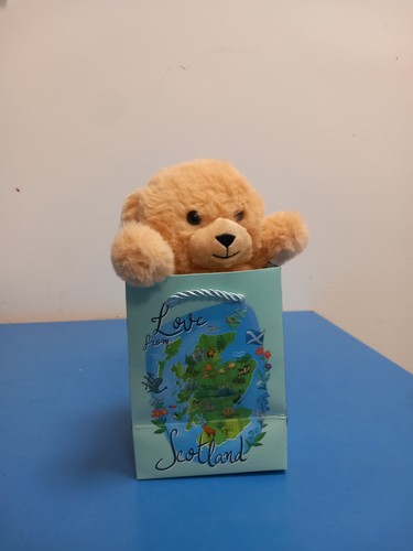 Piccolo orsacchiotto peluche - piccolo,