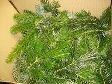 Albero di Natale ghirlanda per