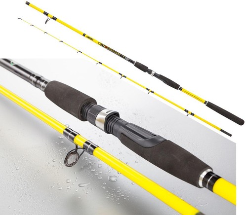 Canna pesca spinning - pesca,