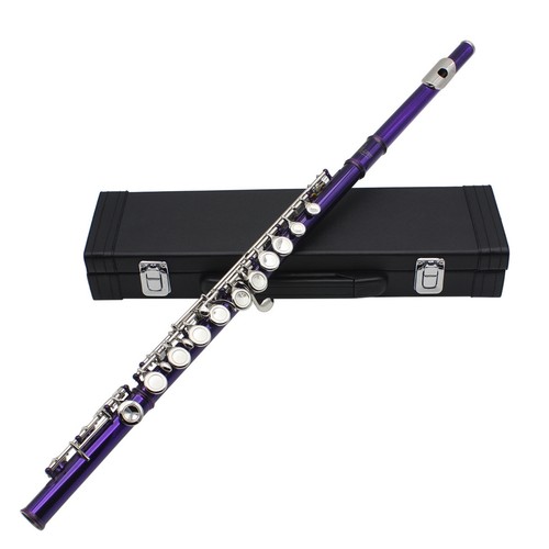 Flauto traverso 16 - in, fori