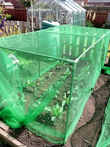 Gabbia per frutta verdura - e,
