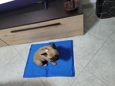 novita'  Tappeto Refrigerante