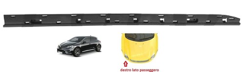 Modanatura porta anteriore dx - porta,