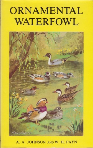 Payne book ornamental - payne,