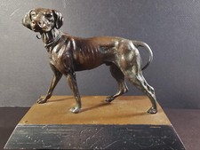 CANE DA CACCIA in Bronzo in patina