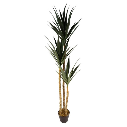 Albero yucca artificiale - albero, di