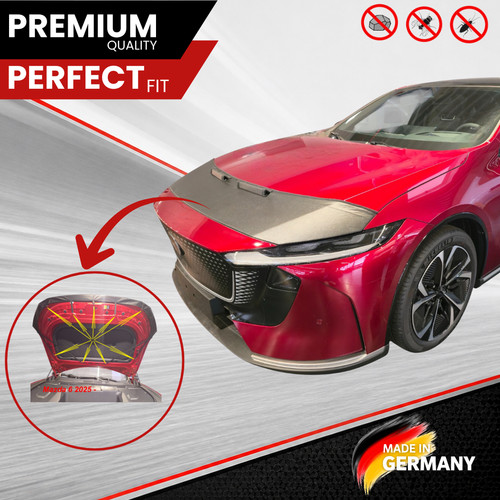 Auto car bra - auto,