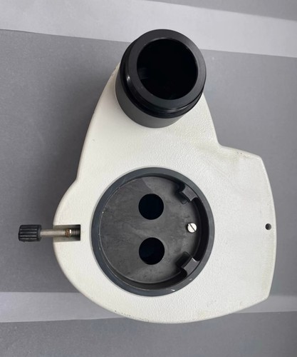 Leica stereo microscopio - stereo,