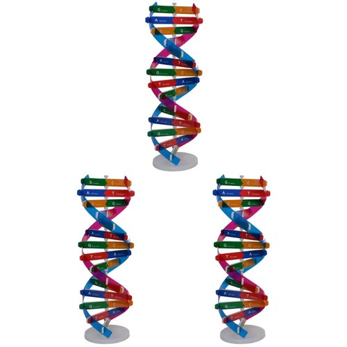 Set modelli dna doppia - ,