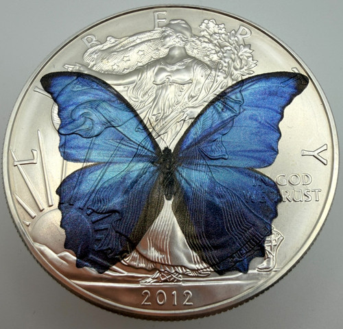 Blue morpho butterfly rara - butterfly,