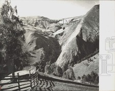 1976 Stampa Foto Linea