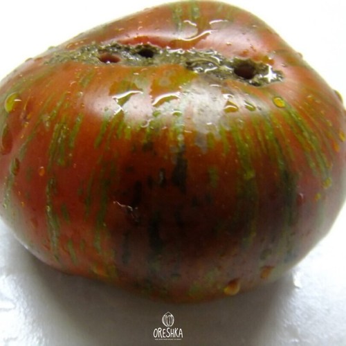 Tomato variety chocolate - variety,