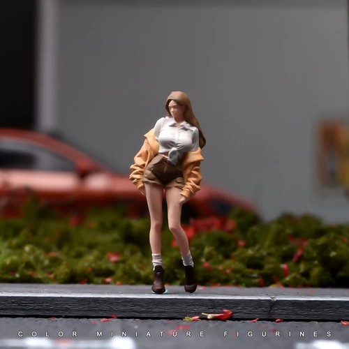 Painted figure model - 1:64,
