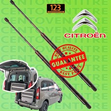 2 PISTONCINI AMMORT. MOLLA A