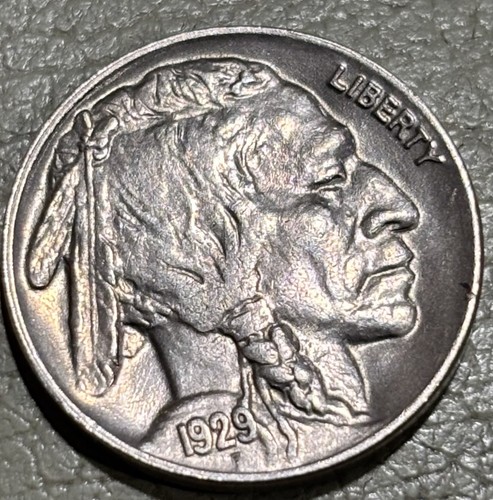 1929 buffalo nichel bella - 1929,