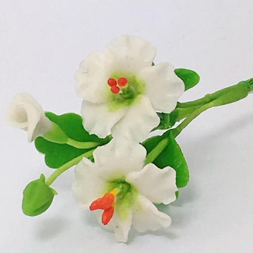 Fiore bianco ibisco fatto - , a
