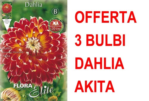 Offerta bulbi dahlia - 3,