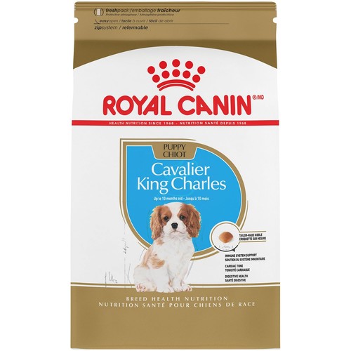 Royal canin cavalier - royal,