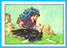 FIGURINA PANINI BIG JIM ALBUM