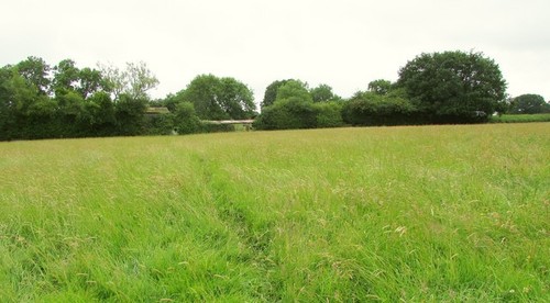 Photo 12x8 field near - 12x8, kite