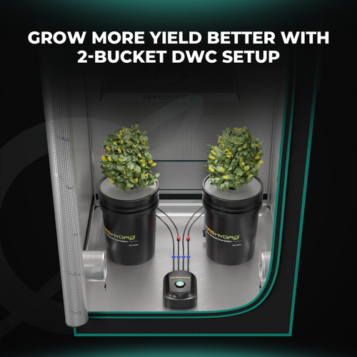 Mars hydro dwc hydroponic - dwc,