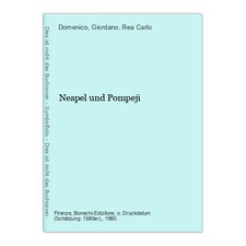 Neapel und Pompeji Domenico &