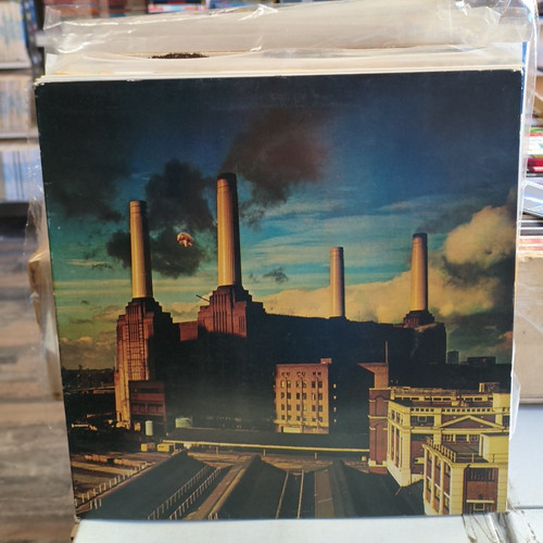Pink floyd animals italia - pink,