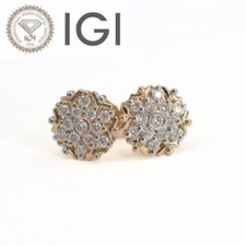 Baby Stud Top's Certificato