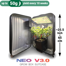 Il Kit All-Inclusive: Mini