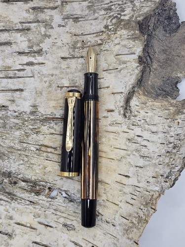 Penna stilografica vintage