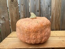 Zucca Burro Australiano -