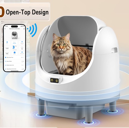 Toilette per gatti - toilette,