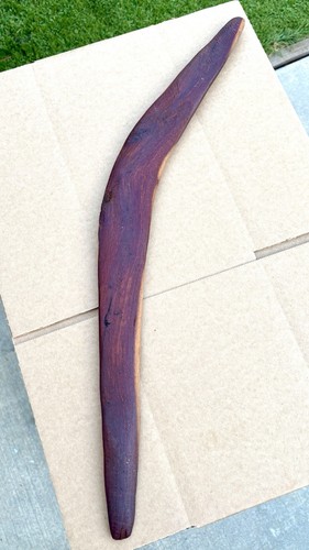 Boomerang legno australiano - in,
